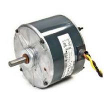 HC33GE238.jpg
